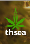 t.h.sea cannabis