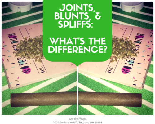 Joints, Blunts, And Spliffs: What's The Difference? | World Of Weed