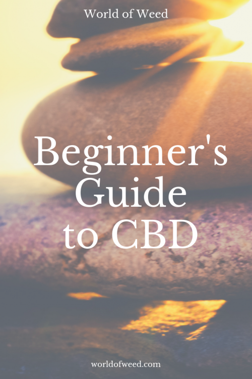 Cannabidiol Explained: The Beginner's Guide To CBD | World Of Weed