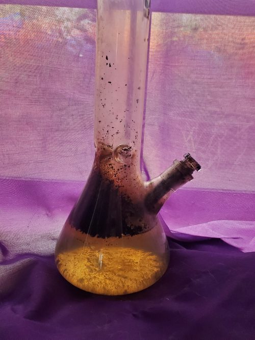 The Hidden Dangers of Dirty Bong Water | World Of Weed