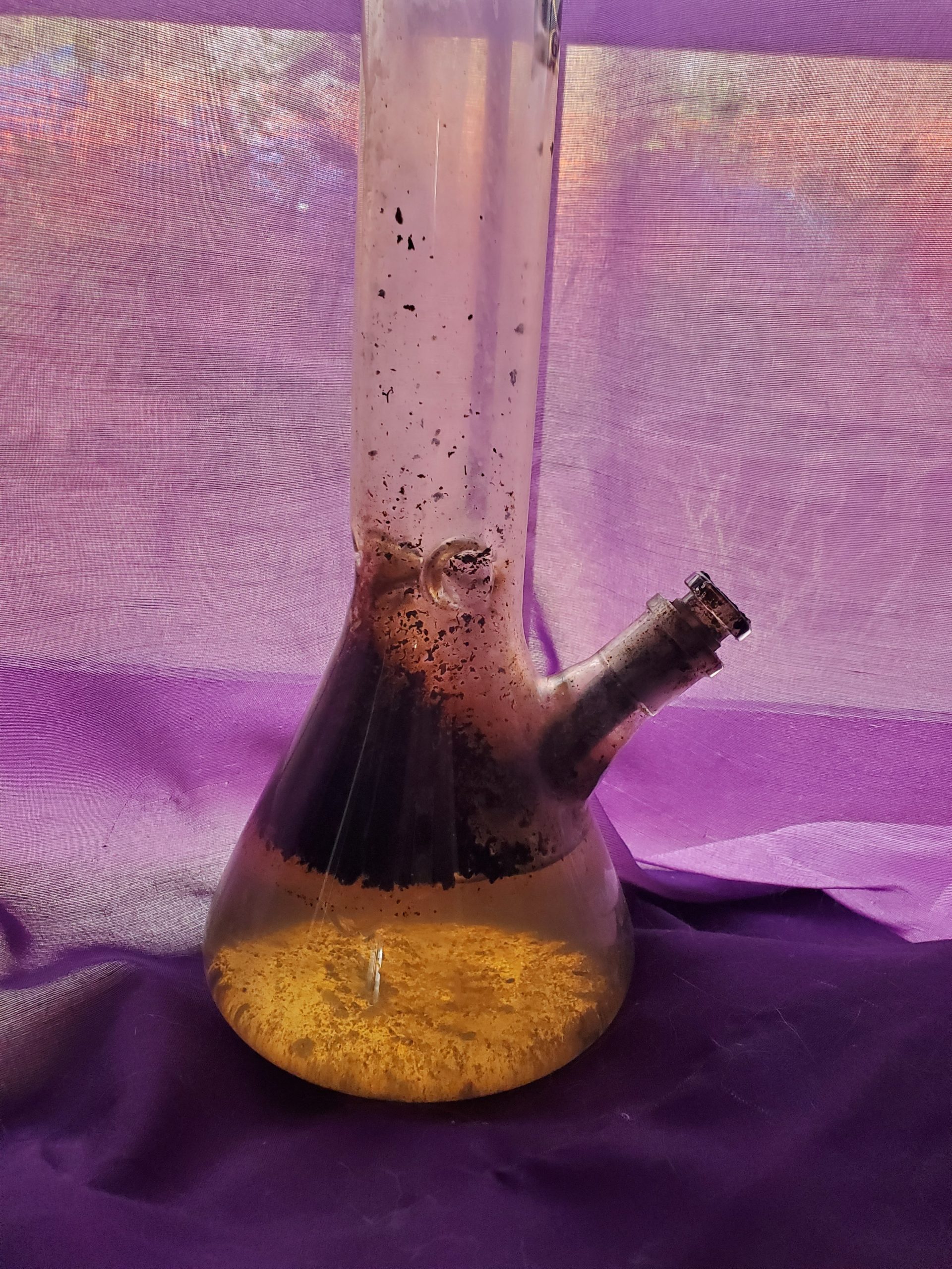 the-hidden-dangers-of-dirty-bong-water-world-of-weed