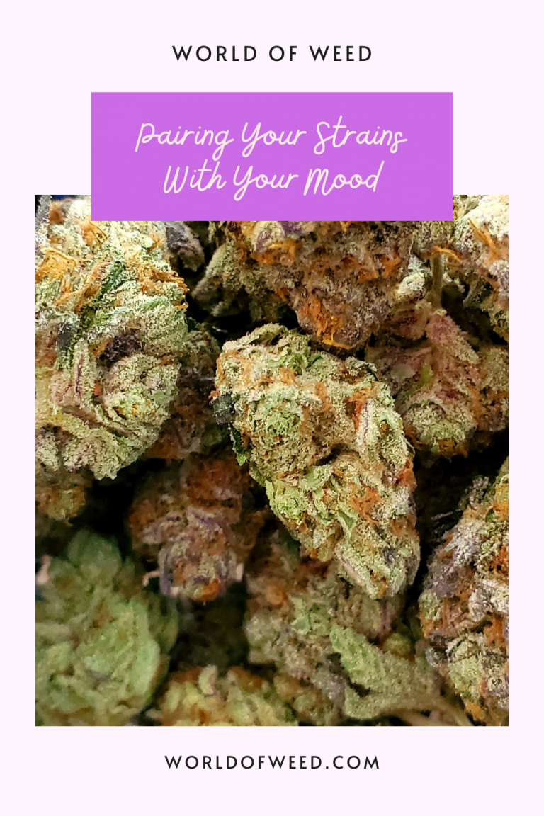 Pairing Cannabis Strains And Mood | World Of Weed